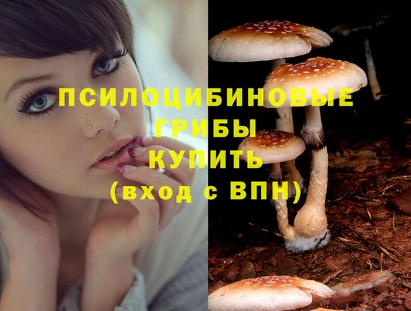 ALPHA-PVP Беломорск