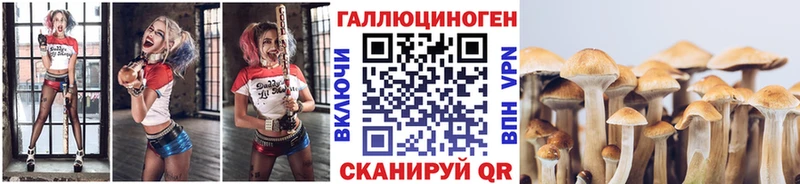 shop телеграм  Миллерово  Псилоцибиновые грибы мухоморы 